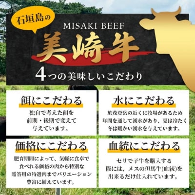 美崎牛ハンバーグ 100g×10個