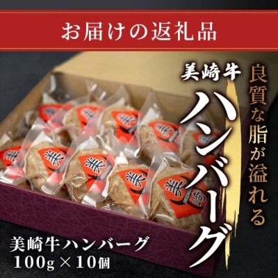 美崎牛ハンバーグ 100g×10個