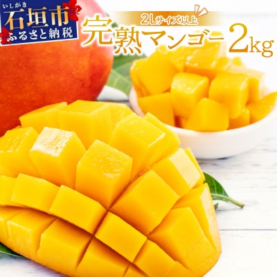 【2027年6月末から順次発送】2L～3L マンゴー3～6玉(約2kg)