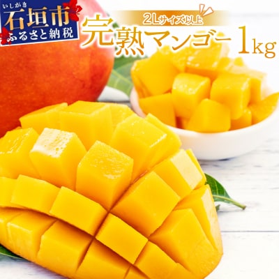 【2026年6月末から順次発送】2L～3L マンゴー2～3玉(1kg)
