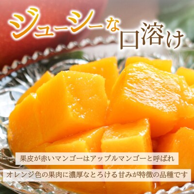 【2027年6月末から順次発送】2L～3L マンゴー2～3玉(約1kg)