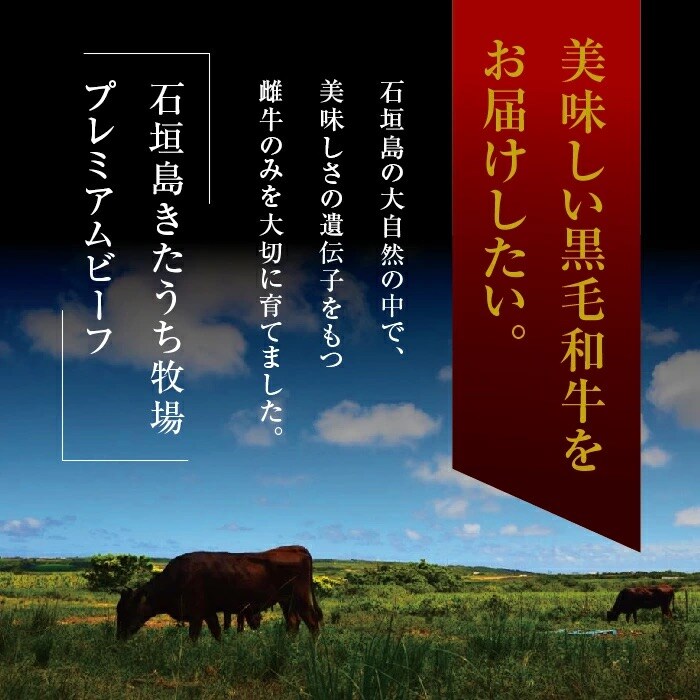 きたうちプレミアムビーフ　しゃぶしゃぶ(モモ)500g