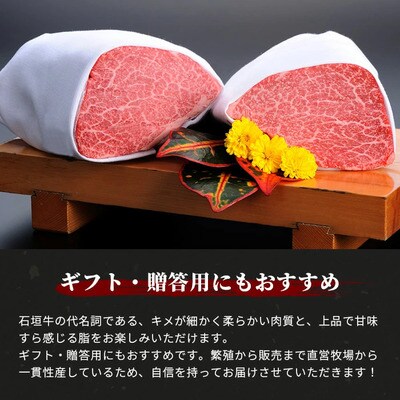 石垣牛ステーキ200g×3枚+焼肉400gセット(いしなぎ屋)