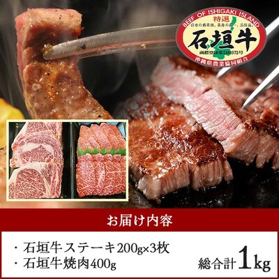 石垣牛ステーキ200g×3枚+焼肉400gセット(いしなぎ屋)