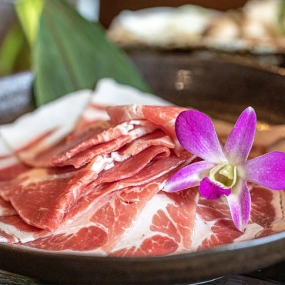【産地直送】石垣の恵 アグー豚 豚肉ロース薄切り 500g×2パック【合計1kg】