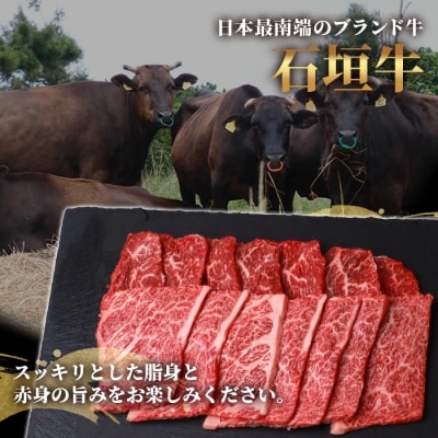 石垣牛・焼肉用お試しセット・200g×2種の盛合せ 計400g入り SI-19-2