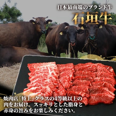 石垣牛・焼肉用・1ランク上のお試しセット・ミスジ、イチボなど希少部位が200g×2種=計400g入り
