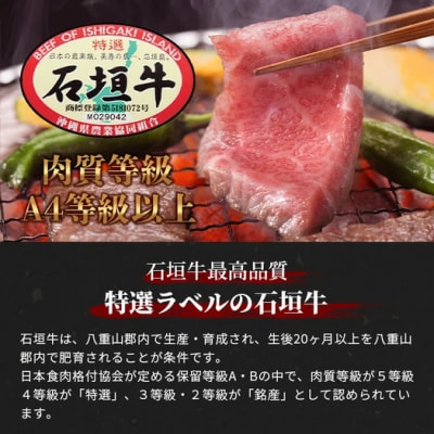 石垣牛特選焼肉1kg(いしなぎ屋)【 特選肉 肉 高級 黒毛和牛 和牛 牛 】AB-17