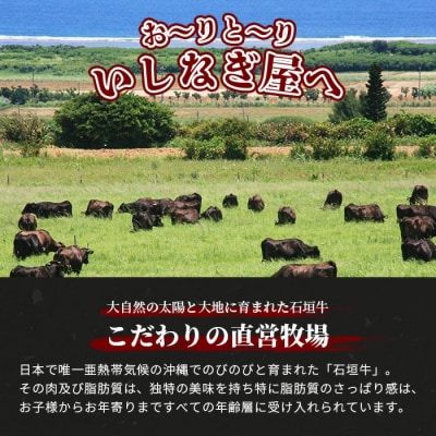 石垣牛特選サーロインステーキ300g×2枚(いしなぎ屋)