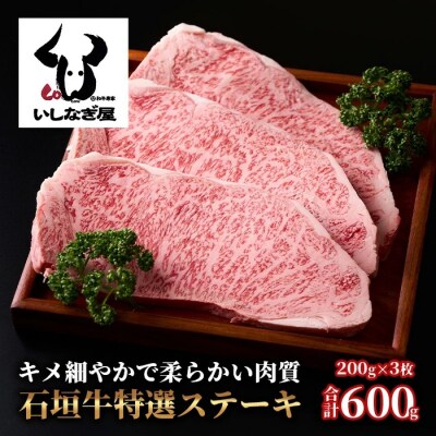 石垣牛特選サーロインステーキ200g×3枚 AB-020