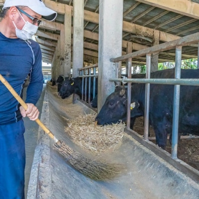 【産地直送】石垣の恵 石垣牛 生ハンバーグ6個【合計720g】【日本最南端の黒毛和牛】KB-101