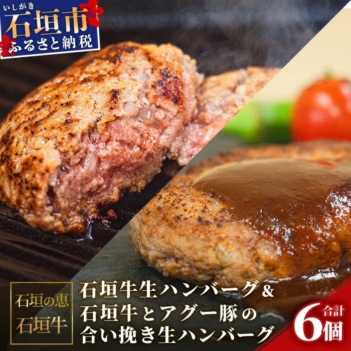 【産地直送】石垣牛生ハンバーグ&石垣牛とアグー豚の合い挽き生ハンバーグ【合計720g】