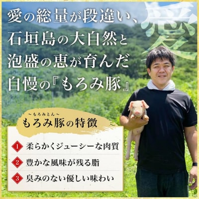 【石垣島ブランド豚】もろみ豚 味噌漬け もも肉 合計520g【もろみで育てる自慢の豚肉】