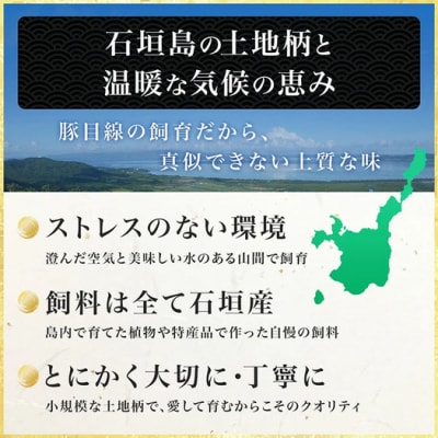 【石垣島ブランド豚】もろみ豚 味噌漬け もも肉 合計520g【もろみで育てる自慢の豚肉】