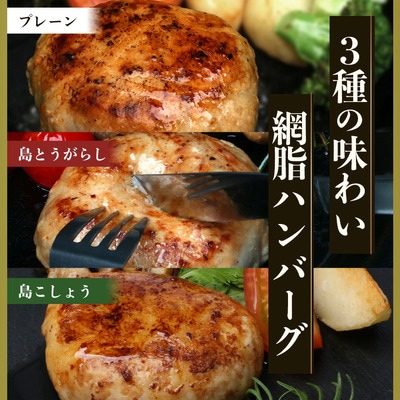 石垣島産 やえやまファームのアグー豚(南ぬ豚) 網脂ハンバーグ食べ比べセット(3種×各2個)
