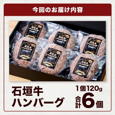 やえやまファームの石垣牛ハンバーグ 6個セット