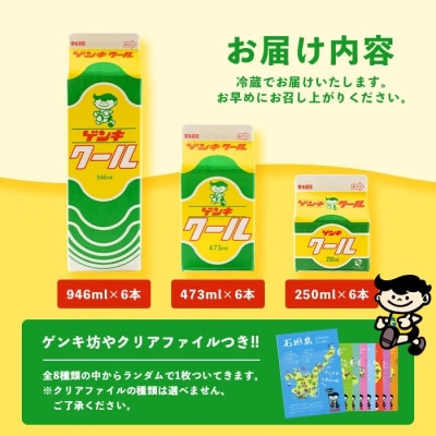【ふるさと納税限定】ゲンキクールバリューセット【八重山ゲンキ乳業】