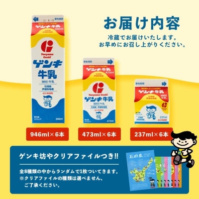【ふるさと納税限定】ゲンキ牛乳バリューセット【八重山ゲンキ乳業】