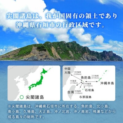 【返礼品なし】石垣市の宝「尖閣諸島」資料収集及び情報発信等事業 の為の寄附(10000円)