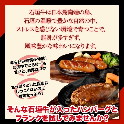 石垣牛お試しセット ハンバーグ2個+フランク2個(ゆいまーる牧場)
