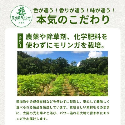 モリンガ茶(ティーパック)MR-1-1