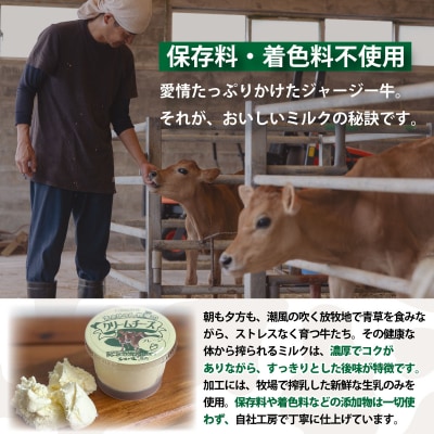 F-2 まぁじゅん牧場の チーズ&ヨーグルトセット