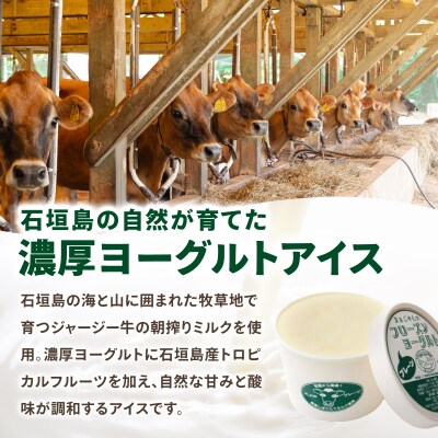 まぁじゅん牧場のフローズンヨーグルトセット 5種詰め合わせ 10個入り