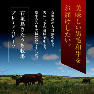 AM-11-1 きたうちプレミアムビーフ　すき焼き(モモ)800g