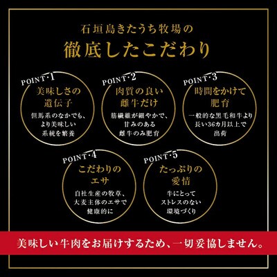 きたうちプレミアムビーフ レトルトカレー 5個