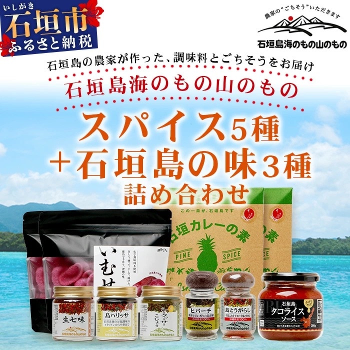 UY-2 石垣島海のもの山のものスパイス&オリジナル詰め合わせセットB