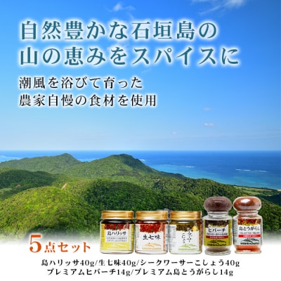 UY-1 石垣島海のもの山のものスパイス&オリジナル詰め合わせセットA