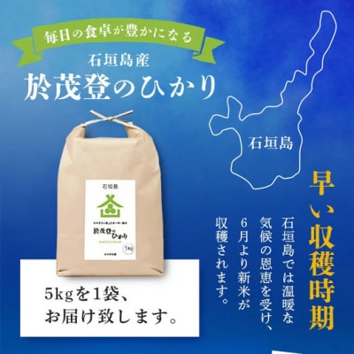 石垣島産 於茂登(おもと)のひかり 5kg みやぎ米屋