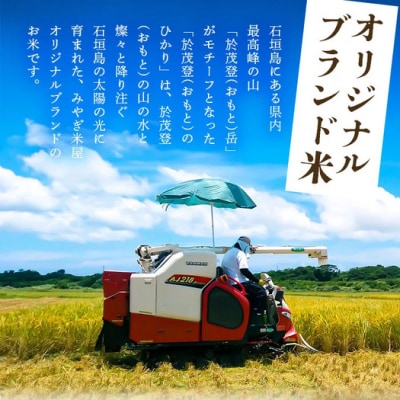 石垣島産 於茂登(おもと)のひかり 5kg みやぎ米屋