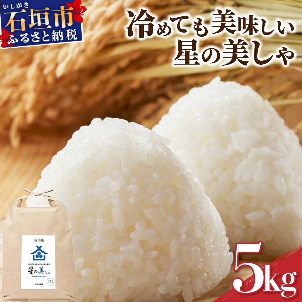 石垣島産 星の美(かい)しゃ 5kg みやぎ米屋 | ふるさと納税のお礼品