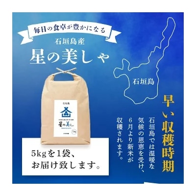 石垣島産 星の美(かい)しゃ 5kg みやぎ米屋