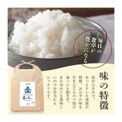 石垣島産 星の美(かい)しゃ 5kg みやぎ米屋