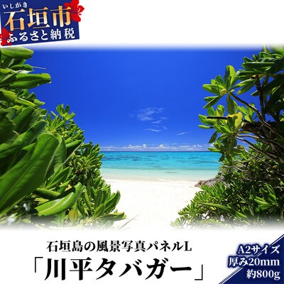 石垣島の風景 写真パネルL(川平タバガー) NN-2