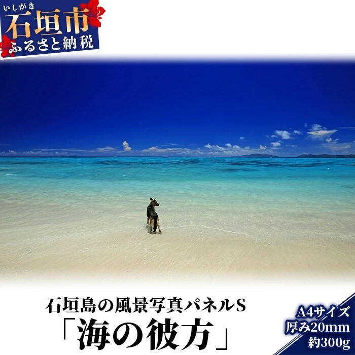 NN-9 石垣島の風景 写真パネルS(海の彼方)
