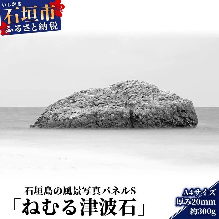 石垣島の風景 写真パネルS(ねむる津波石) NN-12