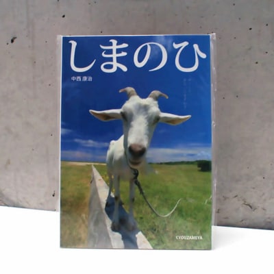 NN-14 中西康治 写真集「Yaeyama Notes」「しまのひ」2冊セット