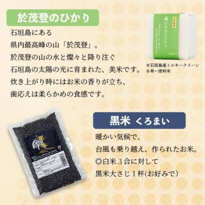 石垣島産お米の食べ比べセット 合計1.1kg【石垣島産 ひとめぼれ】