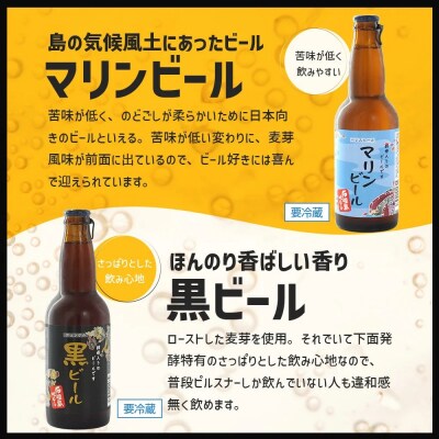 石垣島ビール詰め合わせ おまかせ12本セット