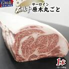 JA石垣牛サーロイン原木1本　I-19