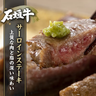 JA石垣牛サーロイン原木1本　I-19