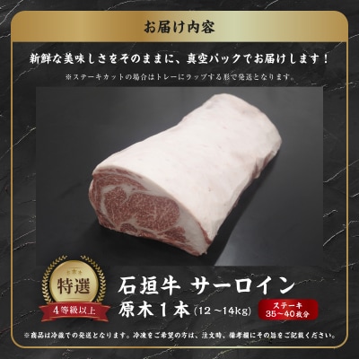 JA石垣牛サーロイン原木1本　I-19