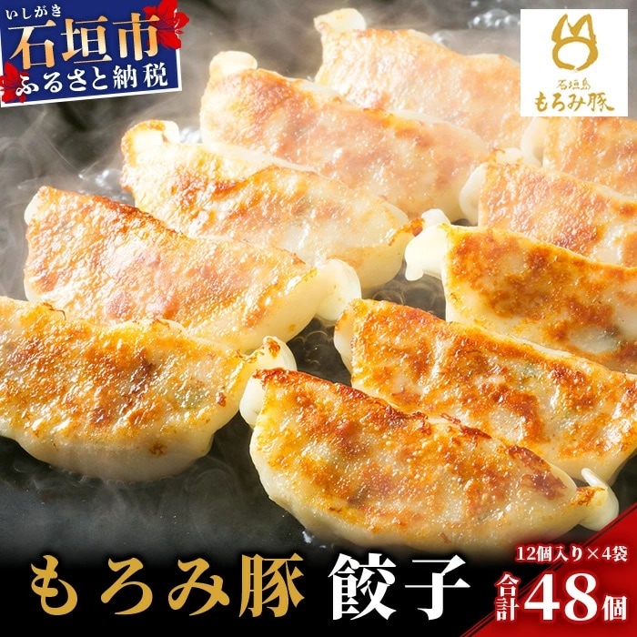 【石垣島ブランド豚】もろみ豚 特製 餃子 4パック【合計48個】【もろみで育てる自慢の豚肉】