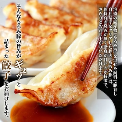 【石垣島ブランド豚】もろみ豚 特製 餃子 4パック【合計48個】【もろみで育てる自慢の豚肉】