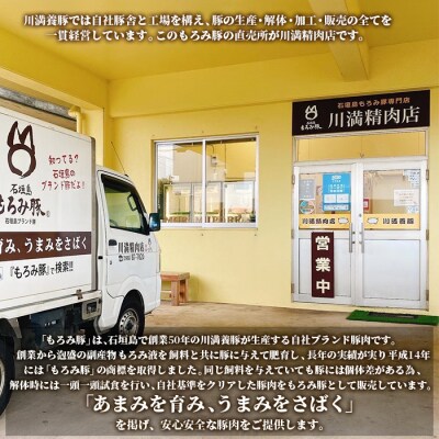 【石垣島ブランド豚】もろみ豚 特製 メンチカツ 150g×3袋【もろみで育てる自慢の豚肉】