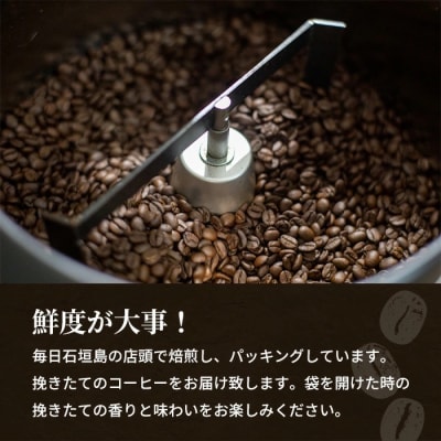 石垣島産コーヒー豆MIXブレンド ドリップパック10個セット