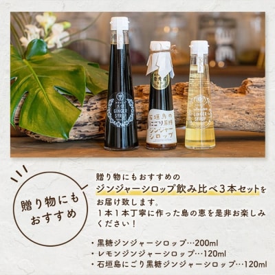 ジンジャーシロップ飲み比べ3種セット(200ML×1本、120ML×2本)　HW-5